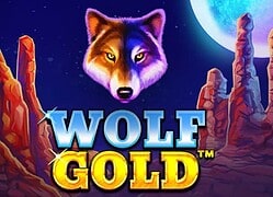 Wolf G Kingdom Casino Game