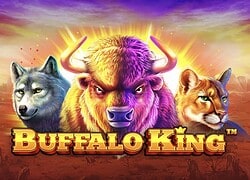 Buffalo King Kingdom Casino Slot