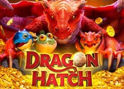 Dragon Hatch Kingdom Casino Game