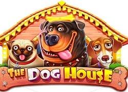 Dog House Kingdom Casino Game